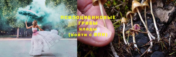 круглые Козельск
