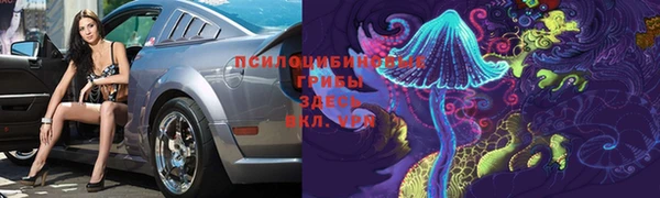 прущая мука Кодинск