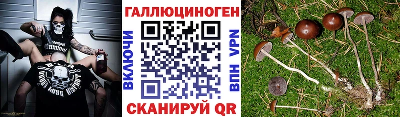 Галлюциногенные грибы прущие грибы  Купить  Великие Луки 