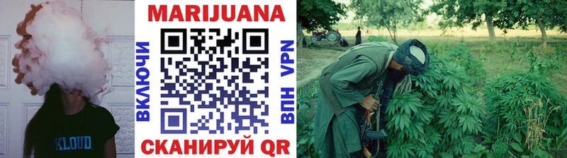 Купить  Великие Луки  Каннабис индика 
